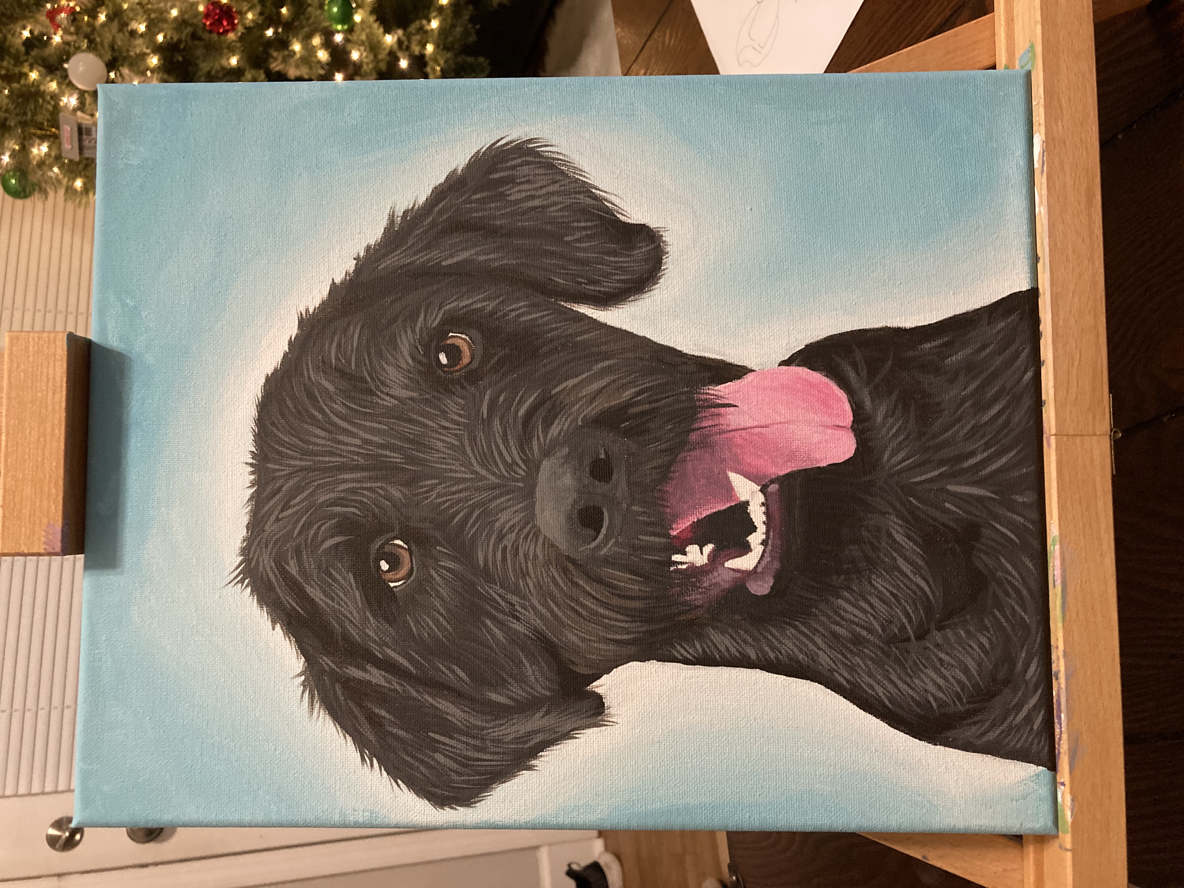 Pet Portrait – Image 5