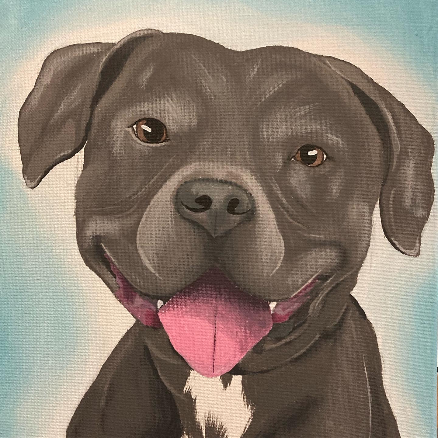 Pet Portrait – Image 3