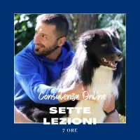 Percorso Individuale online di 7 lezioni – Image 1