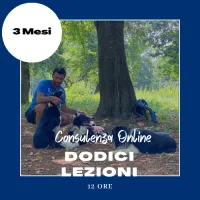 Percorso Individuale online di 12 lezioni – Image 1