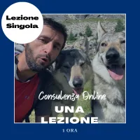 Lezione Individuale online singola – Image 1