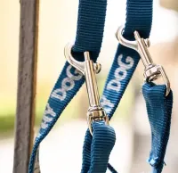 Longhina da 5m di EmpathyDog® – Image 1