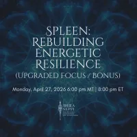 Spleen: Rebuilding Energetic Resilience (Upgraded Focus / Bonus) – Image 1