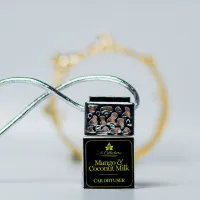 Luxury Silver Top Car Diffuser – Mango & Coconut Milk
