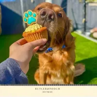 Dog XL Pupcake Puppy Paw – Image 2