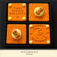 Pup-School Cake – Image 9