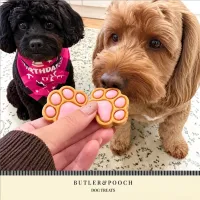 Puppy Iced Paw Biscuits – Pack of 12 – Image 16