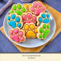 Puppy Iced Paw Biscuits – Pack of 12 – Image 13
