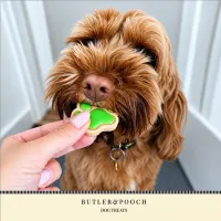 Puppy Iced Paw Biscuits – Pack of 12 – Image 15