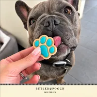 Puppy Iced Paw Biscuits – Pack of 12 – Image 14