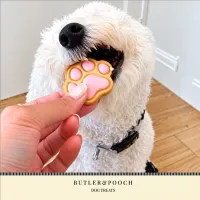 Puppy Iced Paw Biscuits – Pack of 12 – Image 11
