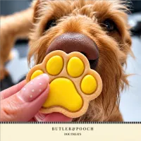 Puppy Iced Paw Biscuits – Pack of 12 – Image 12