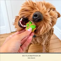 Puppy Iced Paw Biscuits – Pack of 12 – Image 9