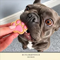Puppy Iced Paw Biscuits – Pack of 12 – Image 10
