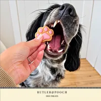 Puppy Iced Paw Biscuits – Pack of 12 – Image 7