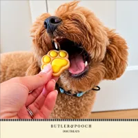 Puppy Iced Paw Biscuits – Pack of 12 – Image 2