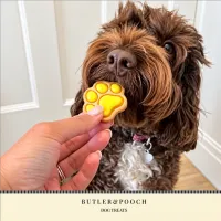 Puppy Iced Paw Biscuits – Pack of 12 – Image 3