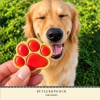 Puppy Iced Paw Biscuits – Pack of 12 – Image 6