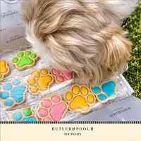 Puppy Iced Paw Biscuits – Pack of 12 – Image 4