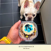 XL Pupcake with Decorated Biscuit Paw Topper – Image 12