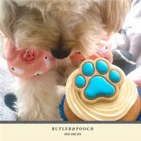 XL Pupcake with Decorated Biscuit Paw Topper – Image 8