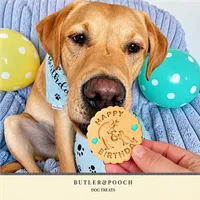 Labrador Retriever Personalised Birthday Biscuit Set – Image 7