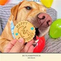 Labrador Retriever Personalised Birthday Biscuit Set – Image 6