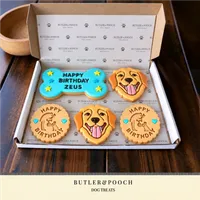Labrador Retriever Personalised Birthday Biscuit Set – Image 2