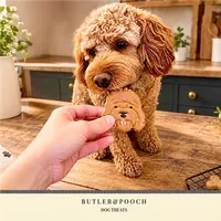Cockapoo Birthday Biscuit Set – Box of 5 – Image 10