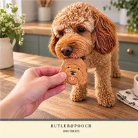 Cockapoo Birthday Biscuit Set – Box of 5 – Image 7