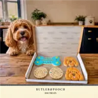 Cockapoo Birthday Biscuit Set – Box of 5 – Image 5