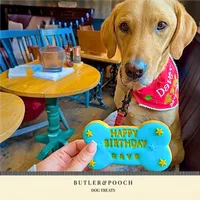 Labrador Retriever Personalised Birthday Biscuit Set – Image 10