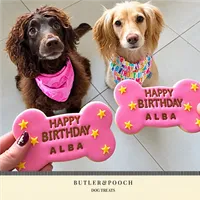 Large Birthday Biscuit Bone Set - Box of 3 – Image 10
