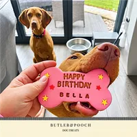 Birthday Personalised Biscuit Paw Set – Box of 6 – Image 12