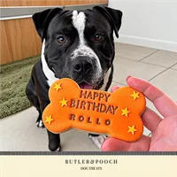 Large Birthday Biscuit Bone Set - Box of 3 – Image 14