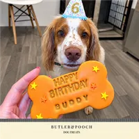 Large Birthday Biscuit Bone Set - Box of 3 – Image 6