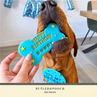 Large Birthday Biscuit Bone Set - Box of 3 – Image 2