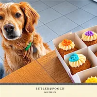 Mini Pupcakes (Box of 16) – Image 12