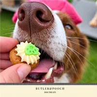 Mini Pupcakes (Box of 16) – Image 10