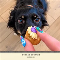 Mini Pupcakes (Box of 16) – Image 9