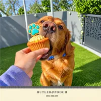 XL Pupcake with Decorated Biscuit Paw Topper – Image 2