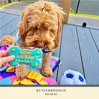 Cockapoo Birthday Biscuit Set – Box of 5 – Image 6