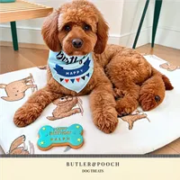 Cockapoo Birthday Biscuit Set – Box of 5 – Image 9