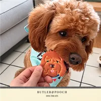 Cockapoo Birthday Biscuit Set – Box of 5 – Image 8