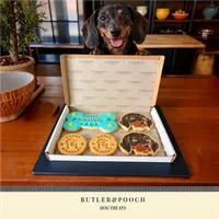 Dachshund Face Birthday Biscuit Set – Box of 5 – Image 10