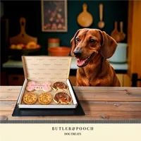 Dachshund Face Birthday Biscuit Set – Box of 5 – Image 5