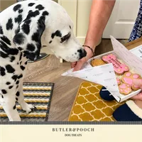 Birthday Personalised Biscuit Paw Set – Box of 6 – Image 4
