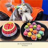 Dog Birthday Cake (Red) – Image 9