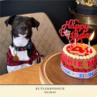 Dog Birthday Cake (Red) – Image 5
