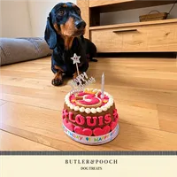 Dog Birthday Cake (Red) – Image 4